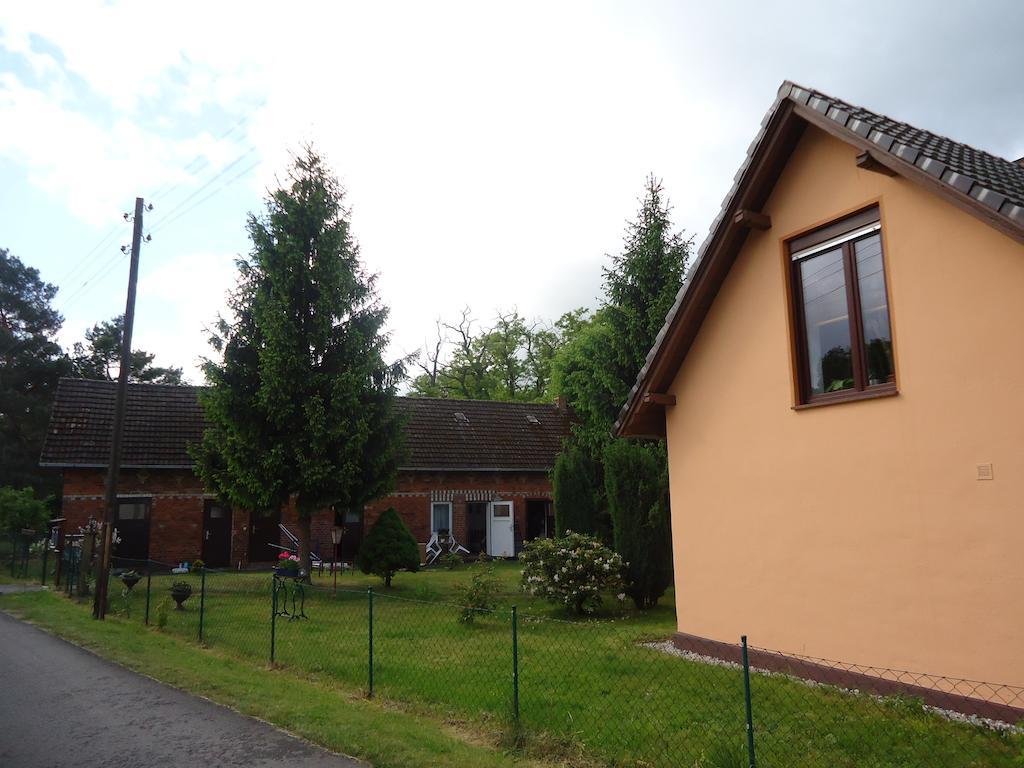 Zur Alten Jugendherberge Burg  Exterior photo